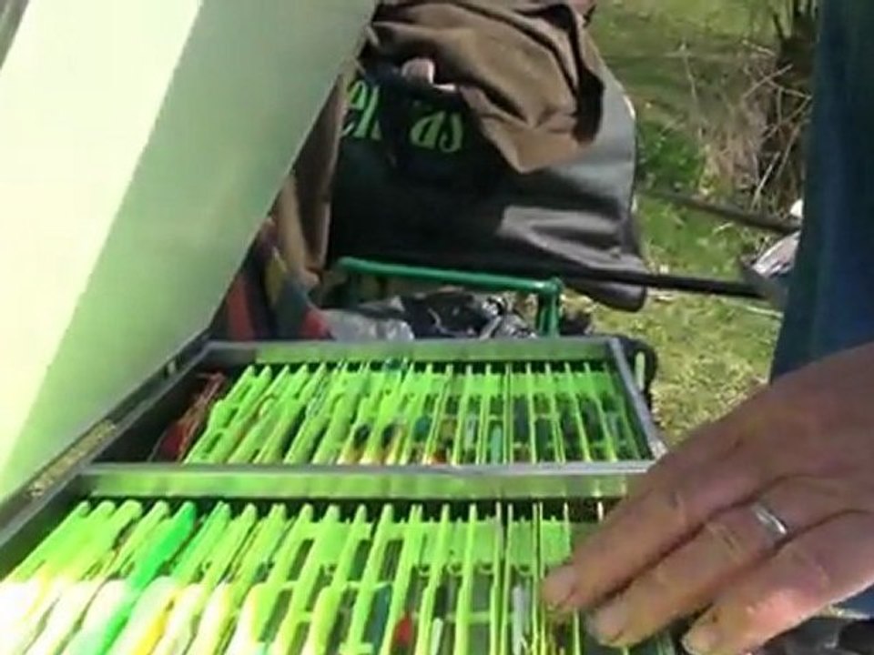 Tanches gardons soleil 2012-03-28