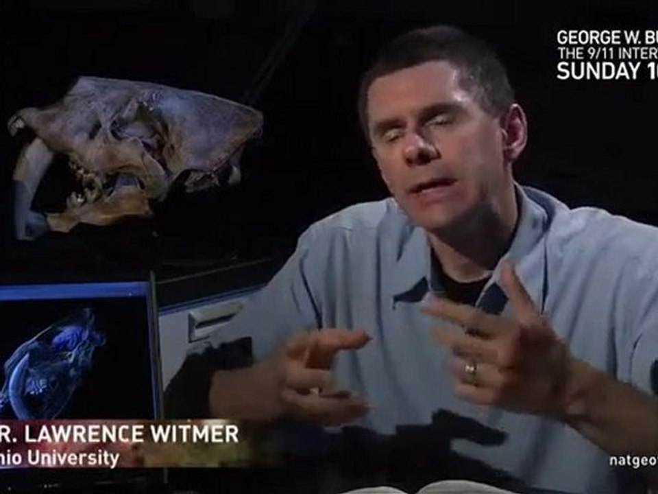 Life After Dinosaurs - Documentary [Part 5_5]