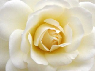 BECAUSE YOU LOVED ME-CURTIS