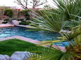 Sterling Estates, Rancho Mirage, CA - Palm Springs Realtor, RoseAnne Foxx, Windermere Real Estate