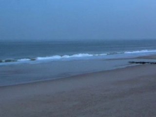 Jeudi 29 Mars - Surf report vidéo 7H30