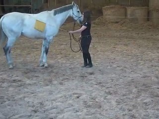 26.03.2012.j.sing.bon