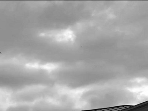 Selami Şahin - Burcu Güneş - Ben Bir Tek Kadın (Adam) Sevdim (Mustafa Ceceli Vers.)