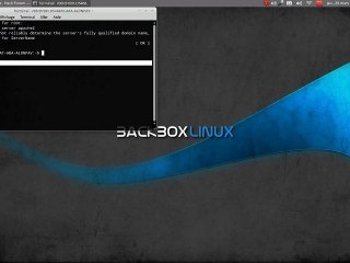 Back Box Phishing Attack