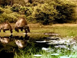 Im Reich der Urmenschen 1 Vorläufer oder Blutbrüder 1v4 Video