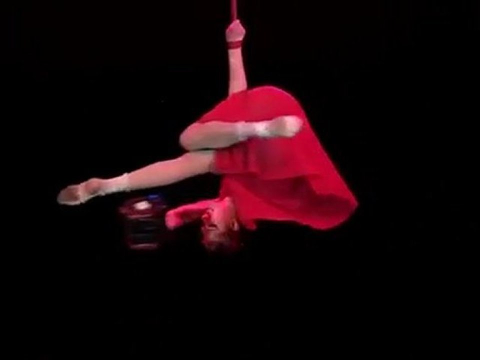 TATYANA OJIGANOVA-aerial straps, Art agency Valentino