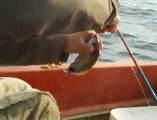 29 mart saros balık avı