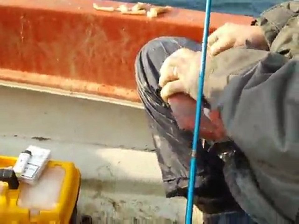 29 mart saros balık avı 2