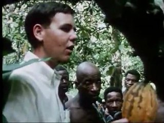 Africa: nascita di un continente parte III