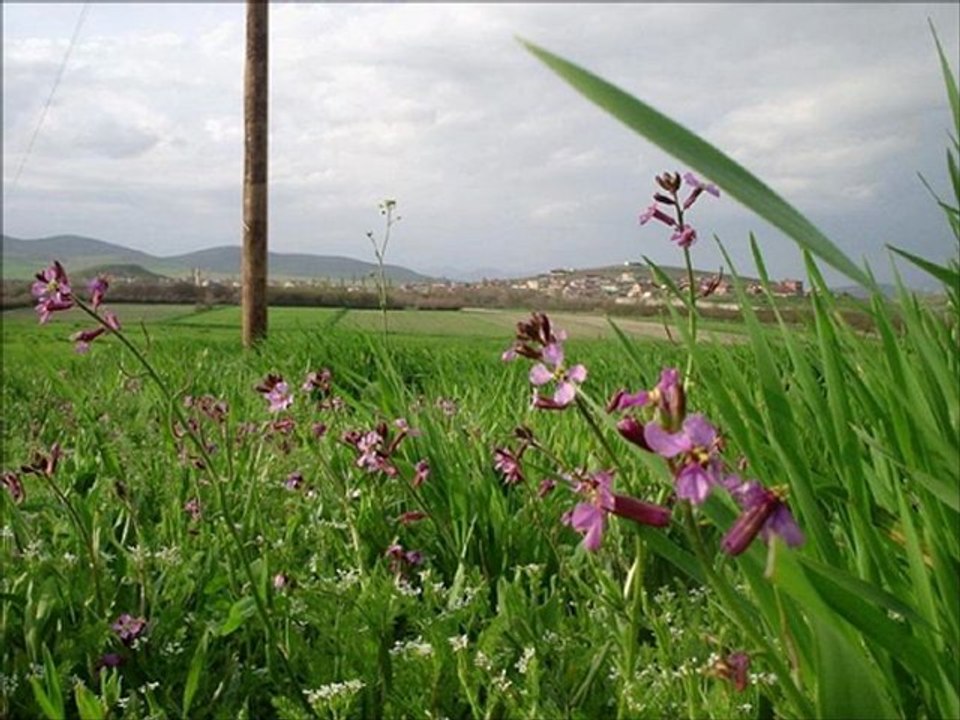 Fadime Akpınar - Dertli Kervan