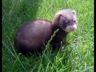 Turzovské noviny 23. mar 2012