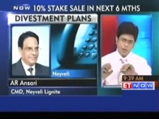 Govt is looking to divest stake in Neyveli Lignite
