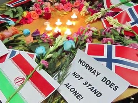 La Toile brune, un livre d'Øyvind Strømmen, Actes Sud