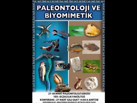 İSTANBUL ÜNİVERSİTESİ FOSİL SERGİSİ VE YARATILIŞ KONFERANSLARI