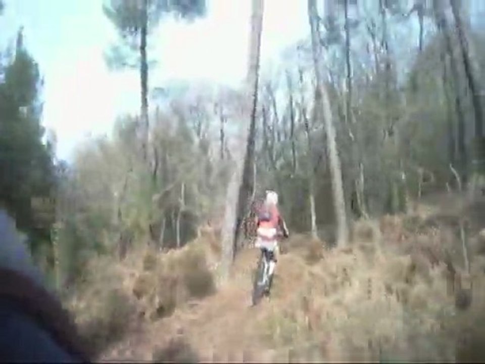 guerledan video