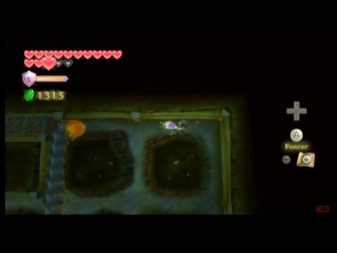 Zelda Skyward Sword < 39 > Le retour de Link-taupe
