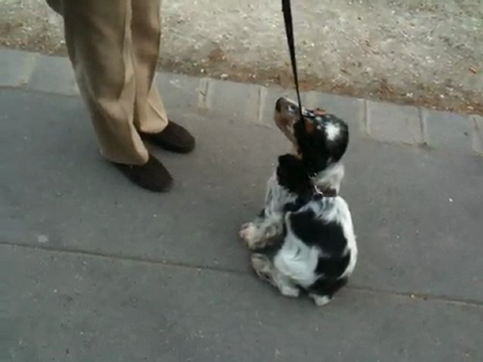 Gandhi, dans la rue qui apprend le stop (3mois 1/2)