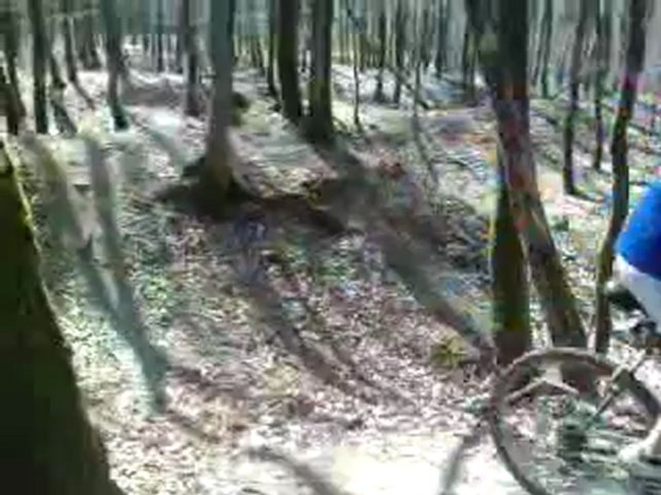 descente montée