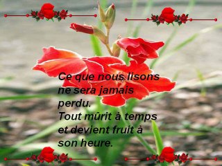 La chance est un hasard..le bonheur ,une vocation-03-29-13-49_wmv