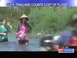 Thailand flood takes a toll on countrys economy