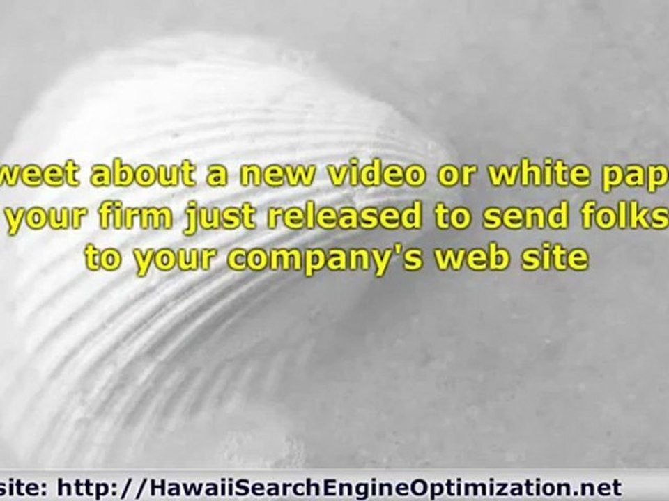 Hawaii Social Media Marketing