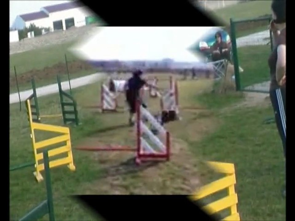 agilitymars2012