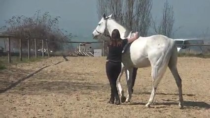 29.03.2012.zf.sing.s4