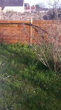 Bibiche et moi : Nous testons les jouets H.M pour vous ;)