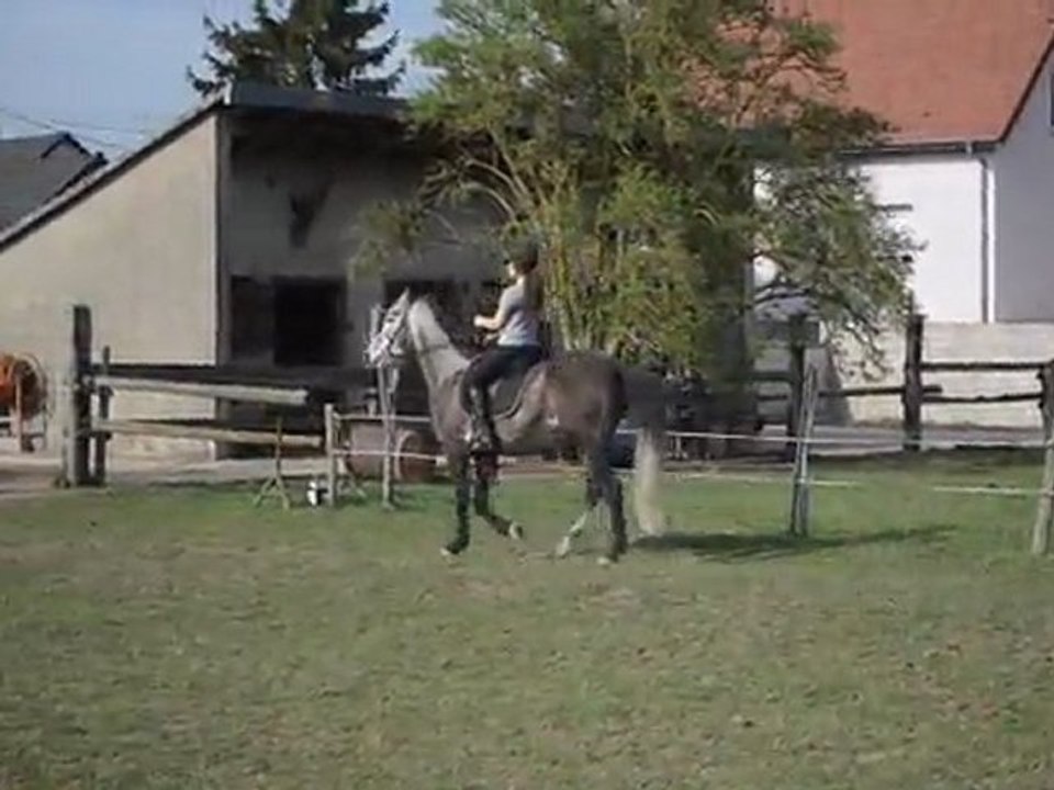 Jocasso changement de pied au galop, non voulu !