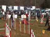 concours agility roquefure 25 03 2012