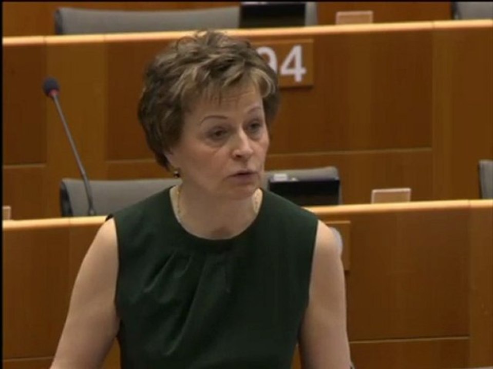 Anneli Jäätteenmäki on EU citizenship report 2010