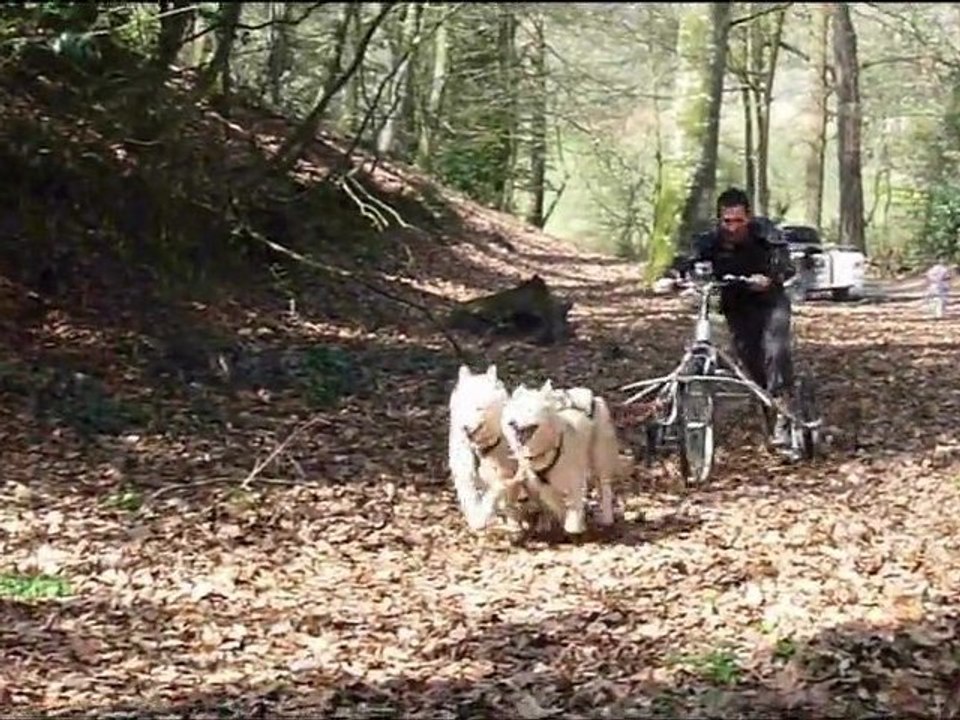 1er entraînement Gusta et mamie Siska