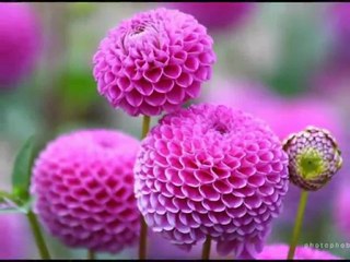 Dursun Çolak Rahmet Bulutları