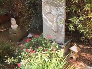 Red Bamboo - Florida Medi Spa - Lightswitch Production