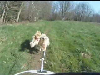 1 er entraînement Capone Galak de l'intérieur