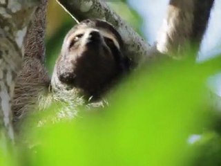 2012 TWS Travel Issue Sneak Peek