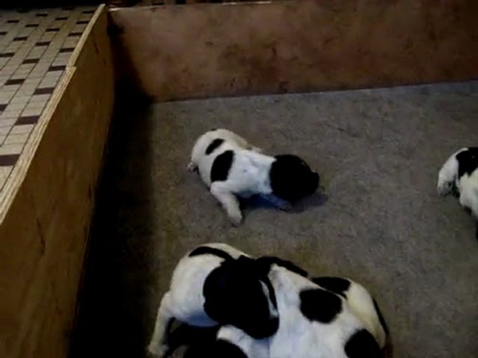 suite les bebes le 29 mars