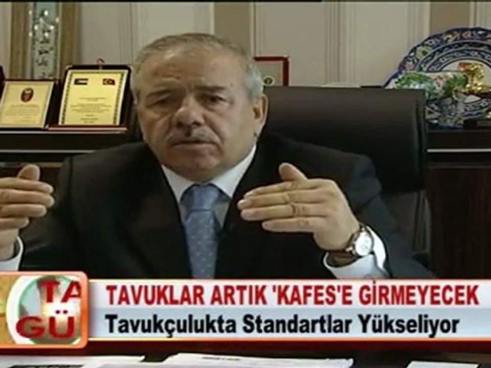 TAVUKLAR ARTIK ‘KAFES’E GİRMEYECEK 28.03.2012