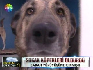 Ankara'da sokak köpeklerinin saldırısı can aldı - 29 mart 2012