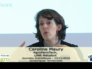 JS 2010 : Caroline Maury - La réforme institutionnelle et impacts sur les dynamiques de territoire