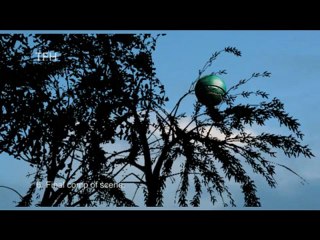 OVNI meprise possible (le fack par ordi)