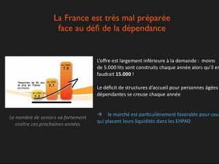 Marche de la dependance en France