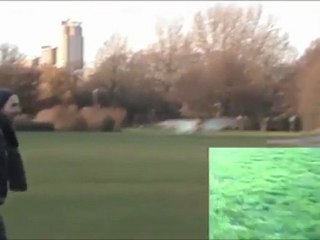 homme aux ailes géantes