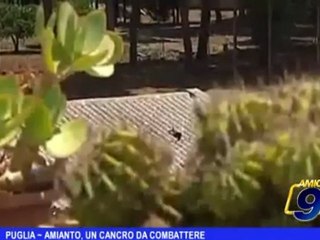 Puglia | Amianto, un cancro da combattere