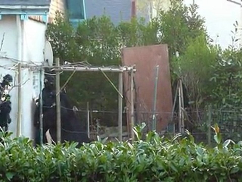 French police swoop on suspected Islamists