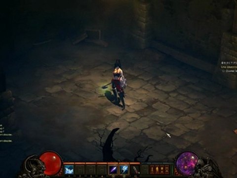 Diablo 3 : emotes de la Sorcière Femelle