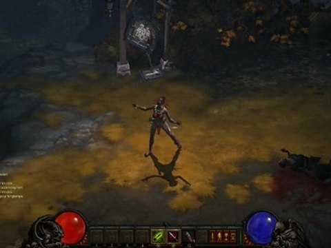Diablo 3 : emotes de la Féticheuse Femelle
