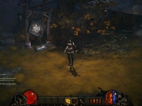 Diablo 3 : emotes de la Chasseuse de Démons