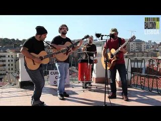 BICHO DO MATO (BalconyTV)