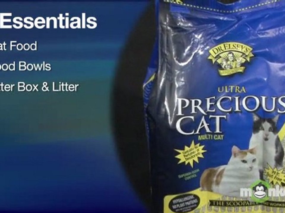 Choosing a Cat - Comforts for the New Cat